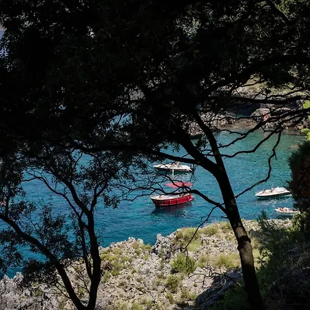 Judia Camere sul mare-2